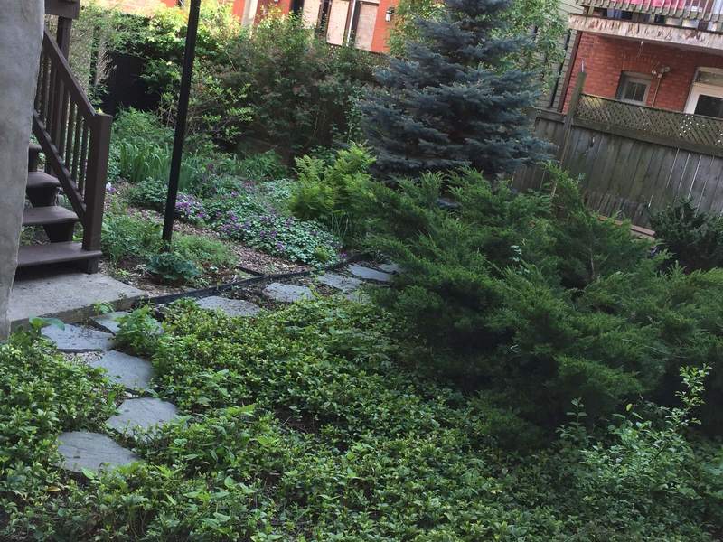 Le jardin arrière de la clinique, un escalier de fer et des pas japonais dans la verdure